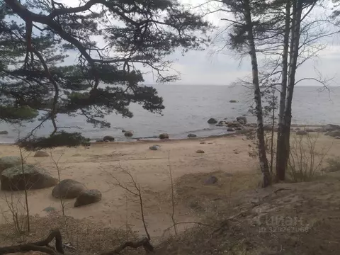 Участок, 8 сот., поселения (ижс)