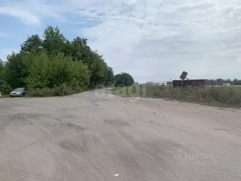 Участок в Курская область, Курский район, Нижнемедведицкий сельсовет, ...