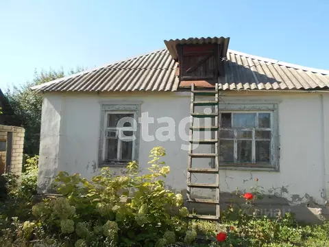 Дом в Белгородская область, Валуйки Совхозная ул., 128 (65 м)