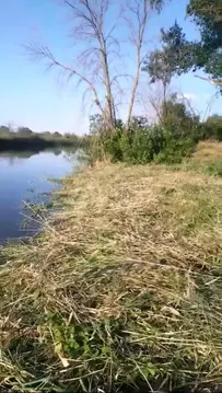 Участок в Ростовская область, Аксайский район, Ольгинское с/пос, ...