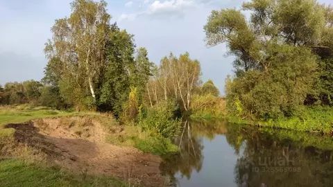 Участок в Московская область, Пушкинский городской округ, д. Березняки ...