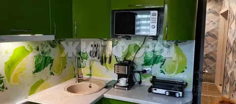 2-к кв. Новосибирская область, Новосибирск Шлюз мкр, ул. Шлюзовая, 20 ...