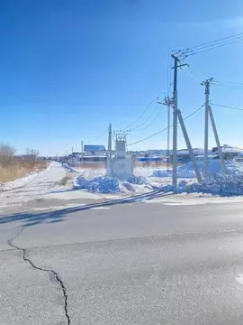 Участок в Амурская область, Благовещенский район, с. Чигири ул. ...
