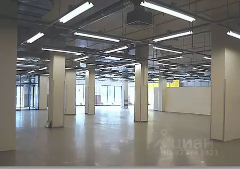 Торговая площадь в Москва Привольная ул., 8 (6147 м)