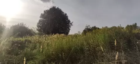 Участок в Московская область, Талдомский городской округ, д. ...