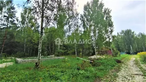 Участок в Владимирская область, Владимир пер. Лукинский (19.6 сот.)