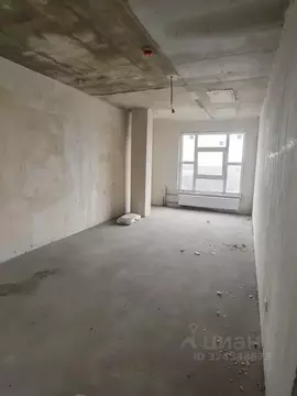 Студия Ленинградская область, Мурино Всеволожский район, ул. Шоссе в ...