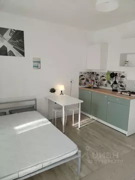 Студия Санкт-Петербург ул. Среднерогатская, 16к2 (27.0 м)