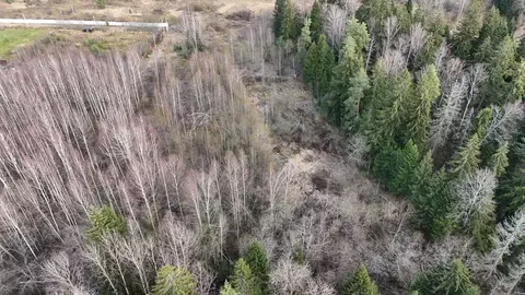 Участок в Московская область, Волоколамский муниципальный округ, с. ...