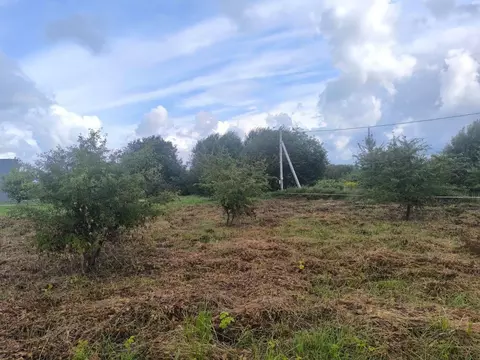 Участок в Калининградская область, Зеленоградский муниципальный округ, ...