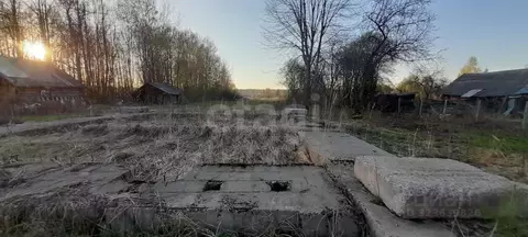 Участок в Владимирская область, Ковровский район, Ивановское с/пос, с. ...