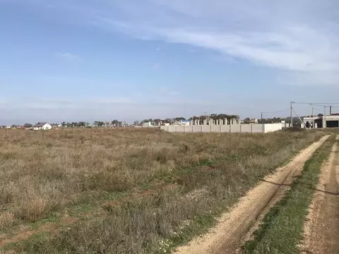 Участок в Крым, Сакский район, с. Уютное ул. Дерюгина (6.0 сот.)