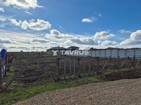 Участок в Крым, Симферопольский район, Перовское с/пос, Дубки 2 массив ...