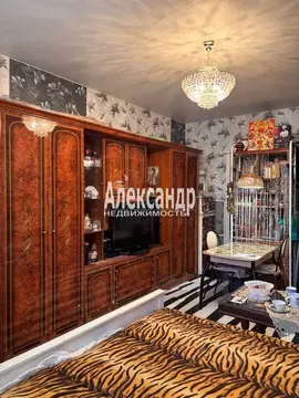 Комната Санкт-Петербург Малая Посадская ул., 7/4 (23.2 м)