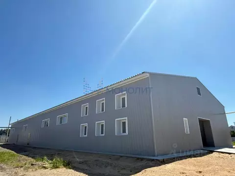 Производственное помещение в Нижегородская область, Балахнинский ...