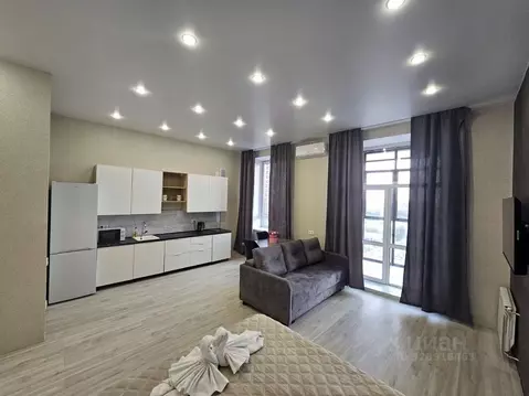 Студия Омская область, Омск ул. Герцена, 99 (40.0 м)