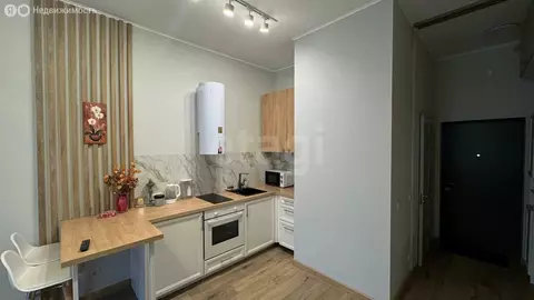 Квартира-студия: Санкт-Петербург, Глухая Зеленина улица, 6 (25 м)