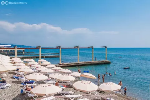 3-комнатная квартира: Сочи, Курортный проспект, 105А (100 м)