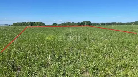 Участок в Башкортостан, Бирск ул. Славы (9.0 сот.)