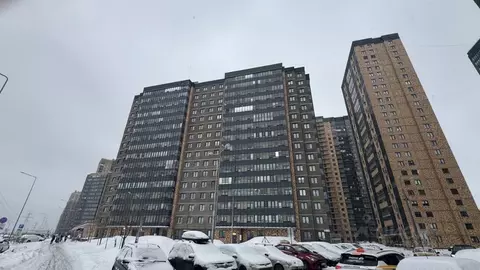 1-к кв. Санкт-Петербург пос. Парголово, проезд Толубеевский, 36к1 ...