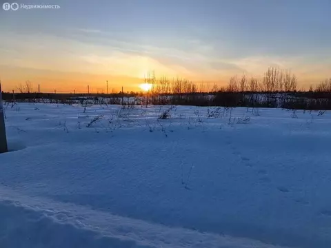 Участок в Московская область, муниципальный округ Шаховская, деревня ...