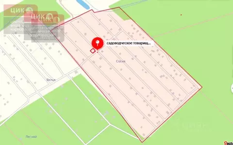 Участок в Рязанская область, Рязанский район, Мурминское с/пос, Сосна ...