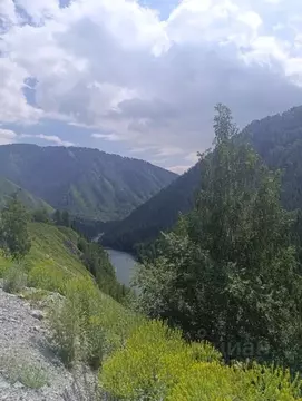 Участок в Алтай, Усть-Коксинский район, пос. Октябрьское Набережная ...