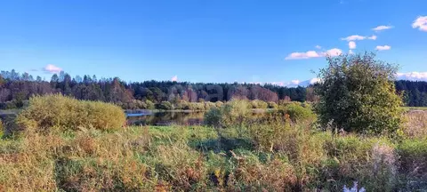 Участок в Псковская область, Псковский район, Тямшанская волость, д. ...