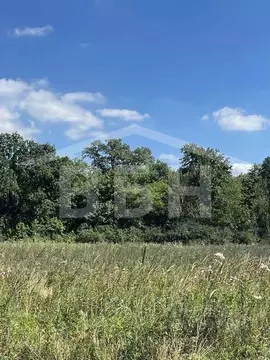 Участок в Воронежская область, Рамонский район, Айдаровское с/пос, с. ...