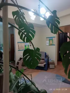 2-к кв. Нижегородская область, Дзержинск ул. Маяковского, 10 (57.3 м)