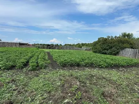 Дом в Челябинская область, Озерский городской округ, д. Селезни ул. ...