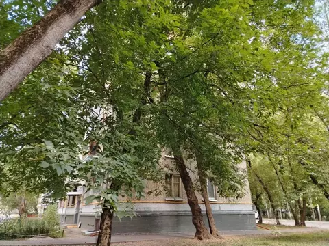 Свободной планировки кв. Москва Открытое ш., 2К10 (15.2 м)