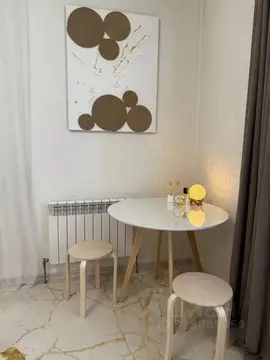 Студия Новосибирская область, Новосибирск ул. Фрунзе, 49/2 (30.0 м)