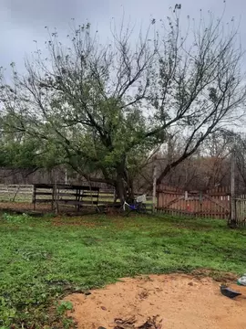 Дом в Алтайский край, Бийский район, пос. Полеводка Центральная ул. ...