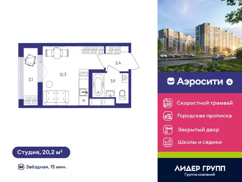 Квартира-студия: посёлок Шушары, Старорусский проспект, 3к1 (20.2 м)