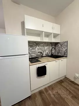 Студия Пермский край, Пермь ул. Яблочкова, 5к5 (22.8 м)