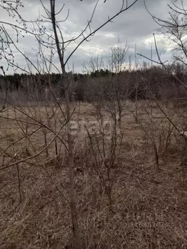 Участок в Курганская область, Щучанский муниципальный округ, д. ...