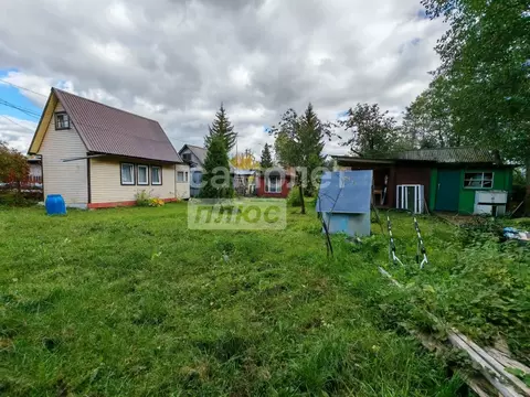 Дом в Калужская область, Калуга Связист-3 СНТ, 12 (25 м)