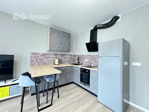 Студия Ленинградская область, Новоселье г. Ломоносовский район, ...