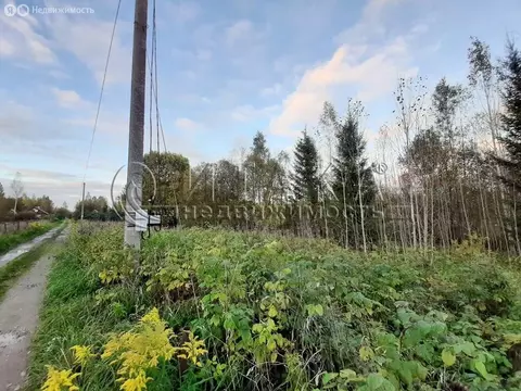 Участок в Опольевское сельское поселение, дачный посёлок НСТ ...