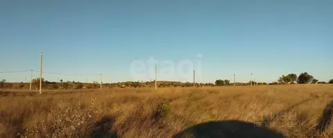 Участок в Крым, Керчь Дельфин садовое товарищество, ул. Вишневая (5.0 ...