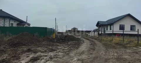 Участок в Воронежская область, Рамонский район, Новоживотинновское ...