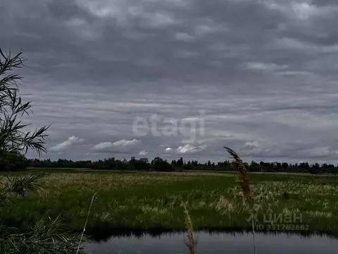 Участок в Амурская область, Благовещенский район, с. Егорьевка  (99.23 ...