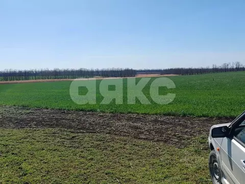 Участок в Краснодарский край, Кореновский район, с. Братковское Южная ...