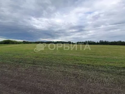 Участок в Тюменская область, Исетский муниципальный округ, д. ...