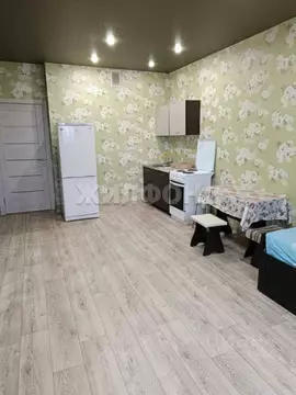 1-к кв. Новосибирская область, Новосибирск ул. Виктора Уса, 4 (31.2 м)