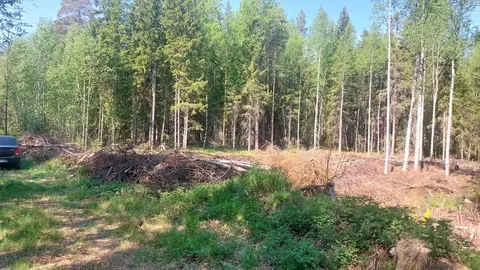 Участок в Карелия, Кондопожское городское поселение  (14.0 сот.)