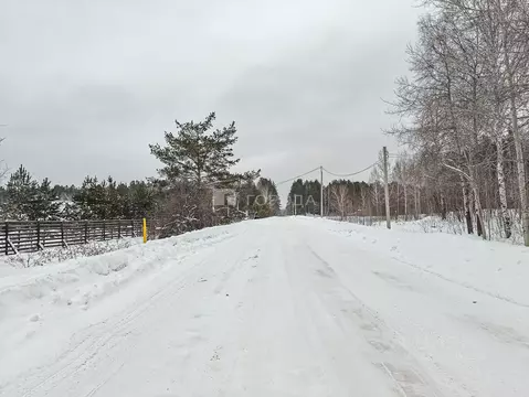 Участок в Новосибирская область, Новосибирский район, Кубовинский ...