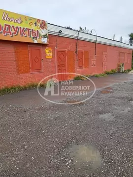 Помещение свободного назначения в Пермский край, Чусовой ул. Энгельса, ...