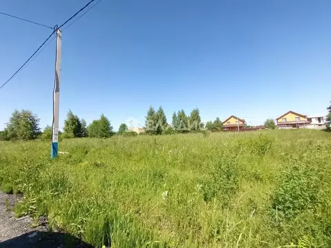 Участок в Московская область, Раменский муниципальный округ, с. Кривцы ...